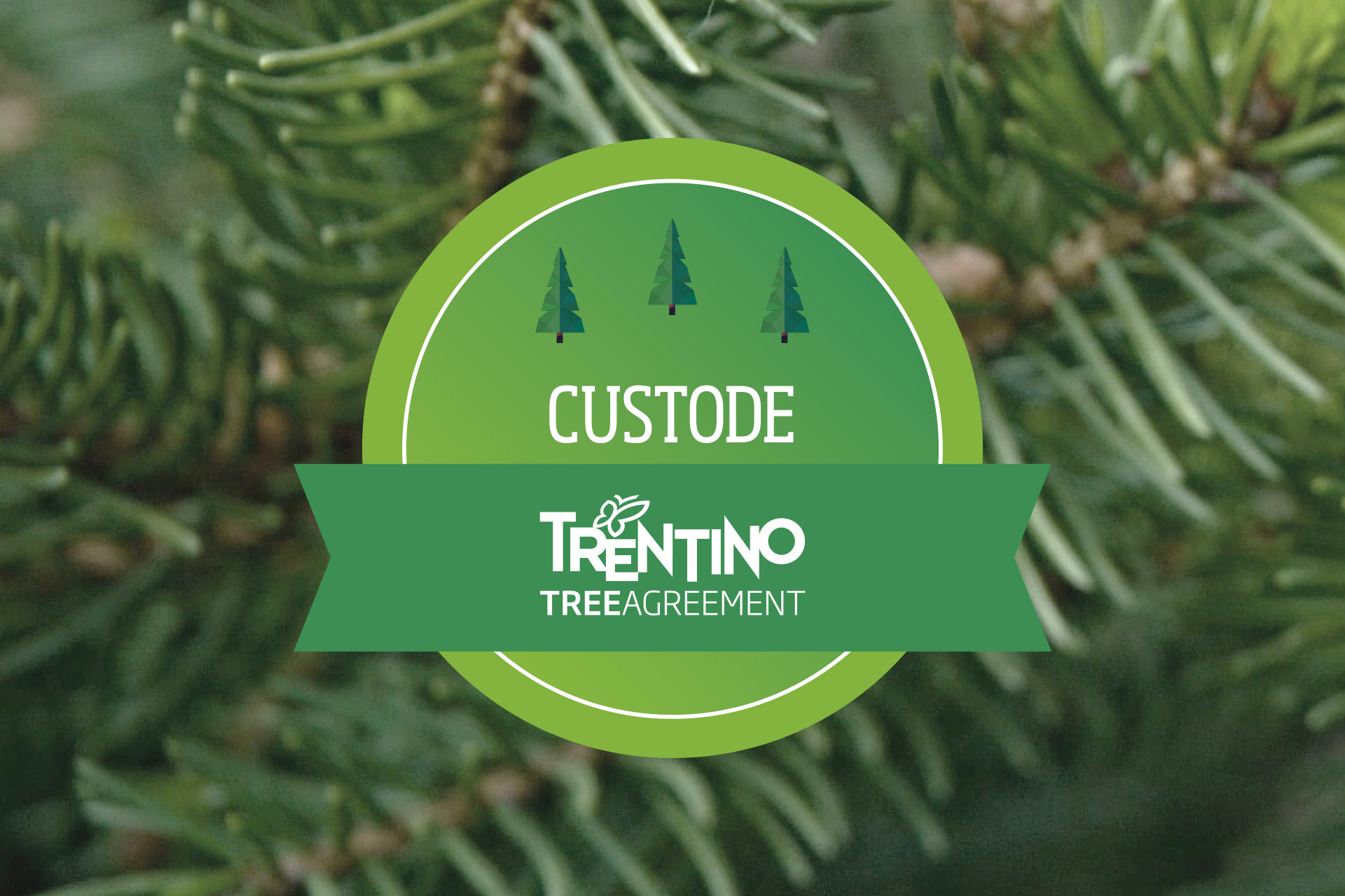 kdln Trentino tree agreement