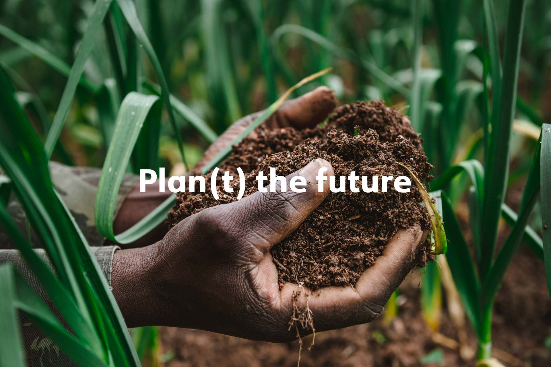 kdln plant the future