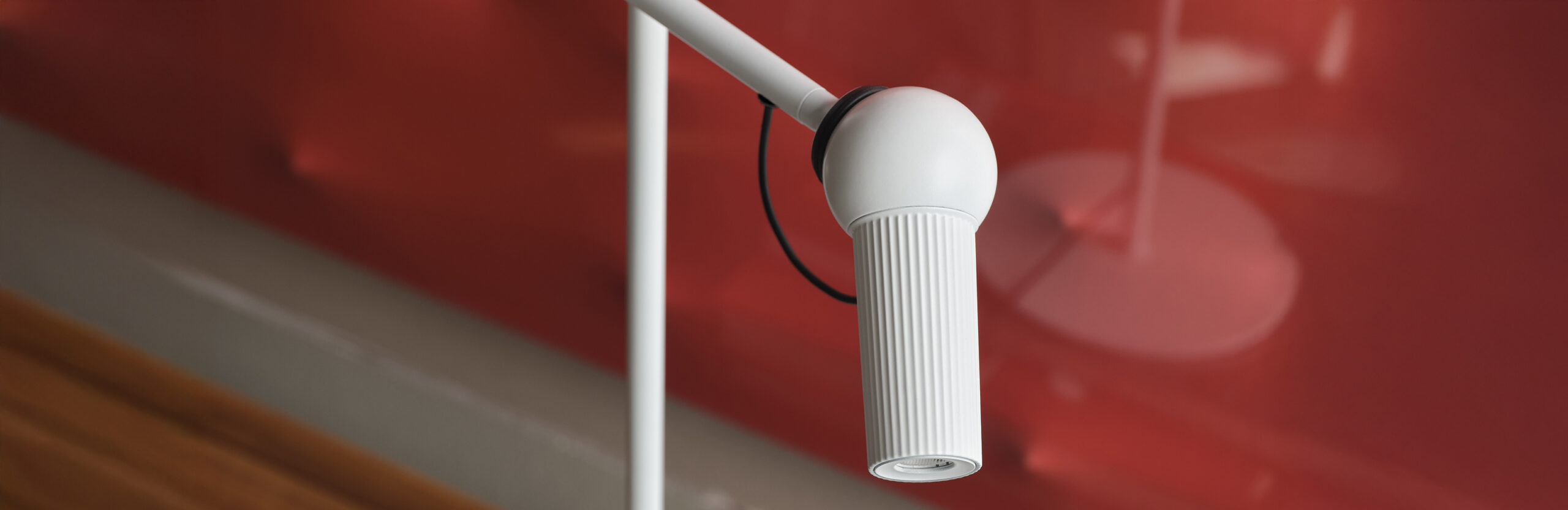 BIRD, CONGRATULATIONS WINNER!