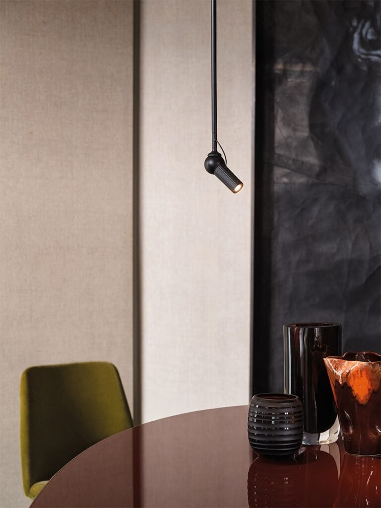 Bird ceiling - Anteprima