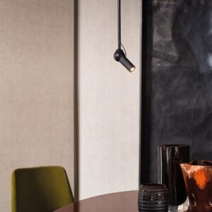 Bird ceiling - Preview