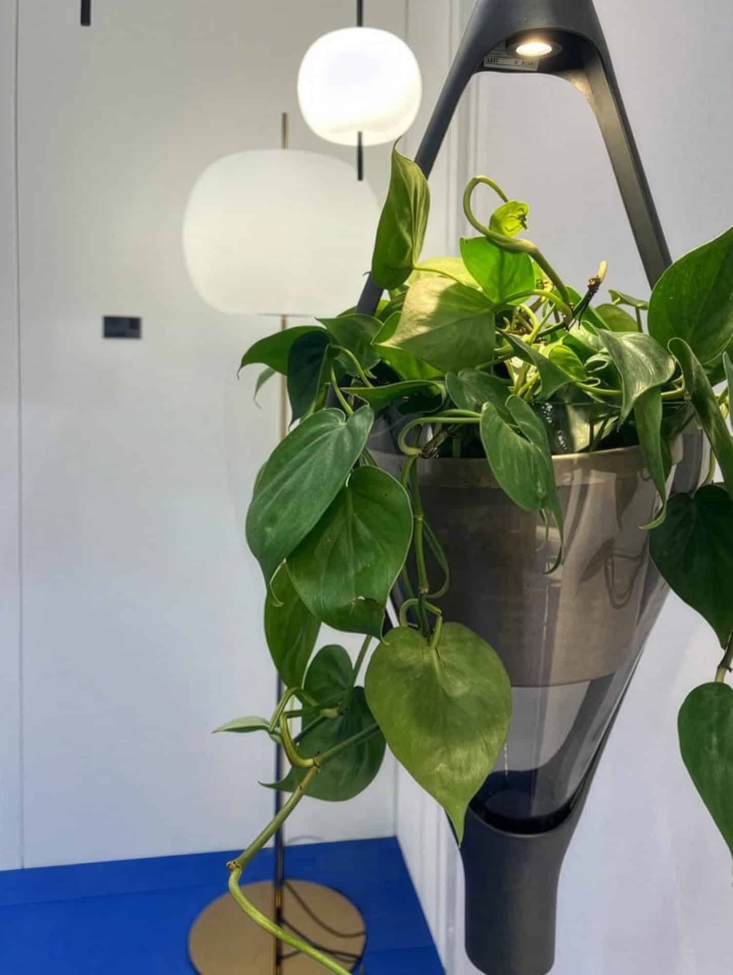 Stand Bdny 2023 con lampada Viceversa